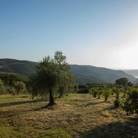 Podere
