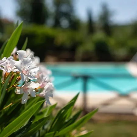 Alloggio per agriturismo Podere *