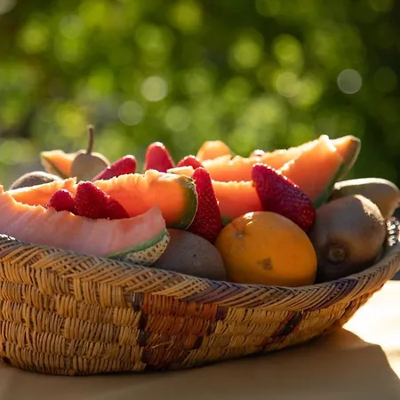 Alloggio per agriturismo Podere