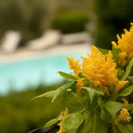 Podere Vakantieboerderij Acqualoreto