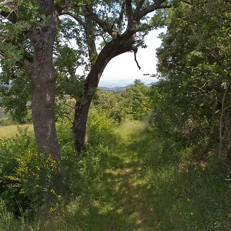 Podere Farm stay