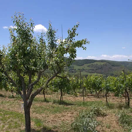 Podere * Acqualoreto