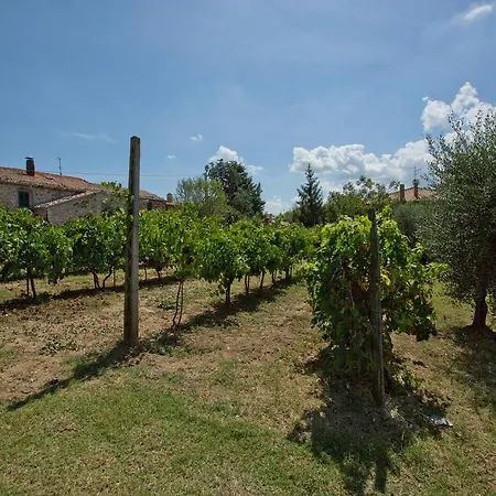 Podere Acqualoreto